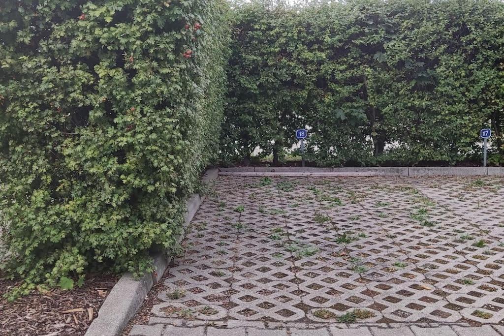 Fewo - Seensucht Am Zwenkauer See Esterno foto